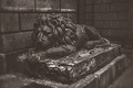 leon