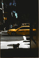   NY