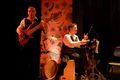 Flamenco Fusion - 