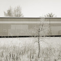 The wall #1