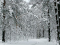 -25