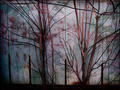 CityScape #27