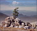 Big Bear (California)