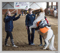 My little pony