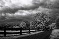 IR Schloss Dornburg #30