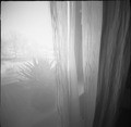 pinhole **