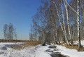 Зима на Яузских болотах 14