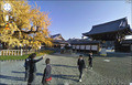 goog