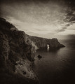 Fiolent #11