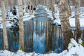 winter landscape