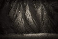 Forms #12