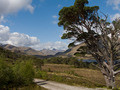 Glen Affric, Scotland