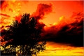 nuclear sky