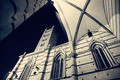 siena