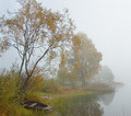 autumn mist