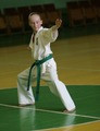 Kyokushin Karate