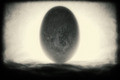 new life
