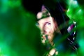 In green