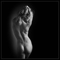 *** 018