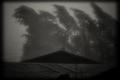hurricane