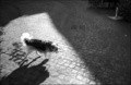 Rome.aug 2010