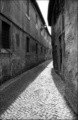 Rome.aug 2010 #5