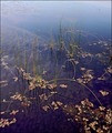 20 000 