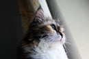 :3