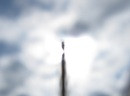 needle