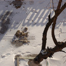 >>> 17.01.2010