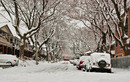 Toronto. Jeep.