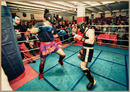 Free fight