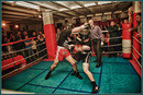 Free fight 5863