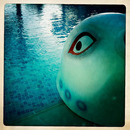 Lomo #7