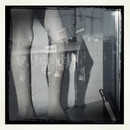 Lomo #8