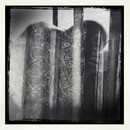 Lomo #16