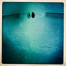 Lomo #17