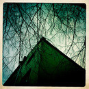 Lomo #19