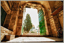 Jerusalem 8272