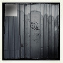 Lomo #41