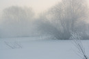 -26