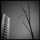 Lomo #47