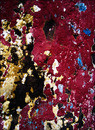 mold