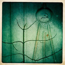Lomo #55