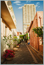 Tel-Aviv 9427