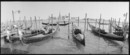 Venice 120 #5
