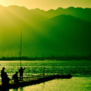 redseagreen