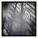 Lomo #65