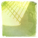 Lomo #77