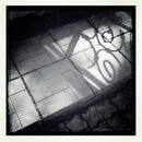 Lomo #80
